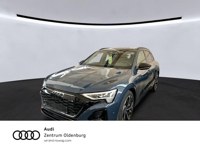 Audi Q8 e-tron 2024 occasion