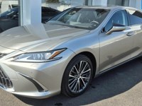 Lexus ES 300 2025 occasion