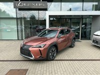 Lexus UX 2026 occasion