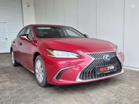 Lexus ES 300 2020 occasion