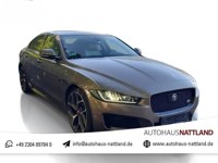 Jaguar XE 2018 occasion