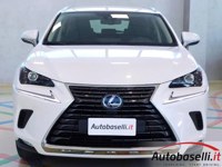 Lexus NX 300 2019 occasion
