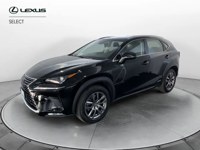 Lexus NX 300 2019 occasion