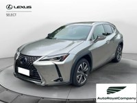 Lexus UX 2019 occasion