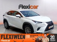 Lexus NX 300 2019 occasion