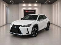 Lexus UX 2019 occasion
