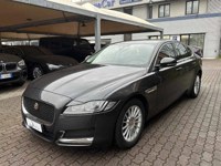 Jaguar XF 2019 occasion