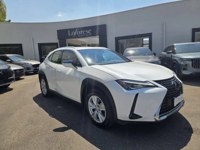 Lexus UX 2020 occasion