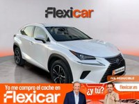 Lexus NX 300 2020 occasion
