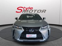 Lexus UX 2021 occasion
