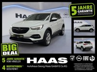 Opel Grandland (X) 2021 occasion
