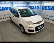 Fiat New Panda 2021 occasion