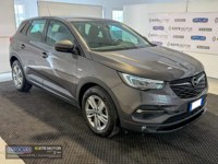 Opel Grandland (X) 2021 occasion
