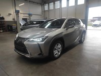 Lexus UX 2021 occasion