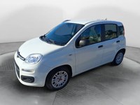 Fiat New Panda 2021 occasion