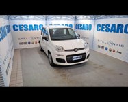 Fiat New Panda 2021 occasion