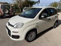 Fiat New Panda 2022 occasion