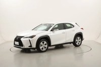Lexus UX 2022 occasion