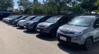 Fiat New Panda 2022 occasion