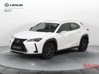 Lexus UX 2022 occasion
