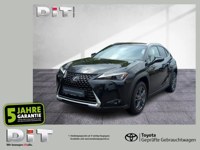 Lexus UX 2023 occasion