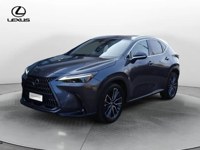 Lexus NX 300 2023 occasion