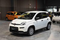 Fiat Panda 2023 occasion