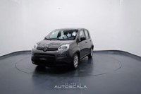 Fiat New Panda 2023 occasion