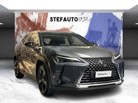 Lexus UX 2023 occasion