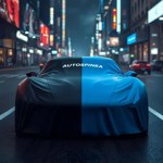 Kia Picanto 2024 occasion
