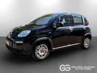 Fiat New Panda 2024 occasion