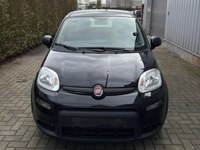 Fiat New Panda 2024 occasion