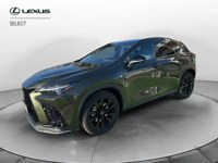 Lexus NX 300 2024 occasion