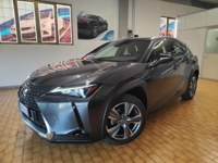 Lexus UX 2024 occasion