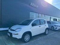 Fiat Panda 2024 occasion