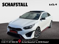Kia pro cee'd / ProCeed 2024 occasion