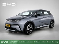 BYD DOLPHIN 2024 occasion
