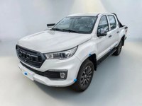 Foton 2024 occasion