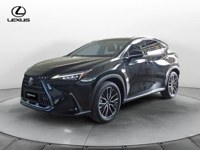 Lexus NX 300 2025 occasion
