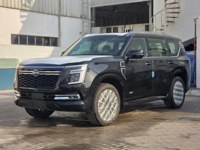 Nissan Patrol 2025 occasion