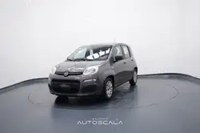 Fiat New Panda 2022 occasion