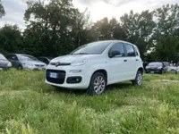Fiat New Panda 2018 occasion