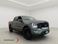 Ford F 150 2024 occasion
