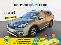 Subaru Forester 2020 occasion
