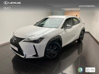 Lexus UX 2025 occasion