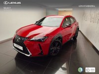 Lexus UX 2025 occasion