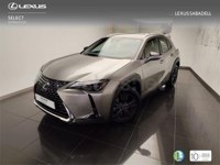 Lexus UX 2025 occasion