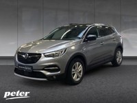 Opel Grandland (X) 2019 occasion