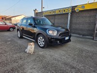 MINI Countryman S (Cooper) 2019 occasion
