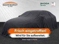Audi SQ5 2019 occasion